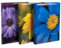 Альбом PLATINUM С-46300RCL (33710)Цвет.коллекция-11, 300ф., РОССИЯ, код 79002080007, штрихкод 461009423713, артикул 33710