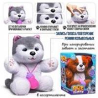 00-6817 Собака 