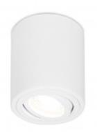 Накладной поворотный точечный светильник TN225 WH белый GU5.3 D80*100, Китай, код 05213020226, штрихкод 460718142089, артикул TN225